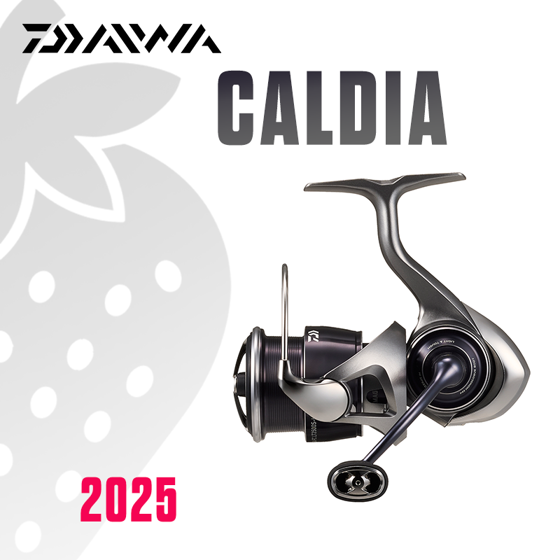 DAIWA 2025 CALDIA LT Mulinello - Daiwa Reel Bg recensione e prezzo